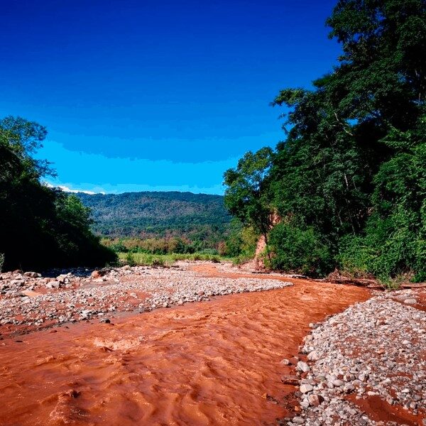 parque-nacional-de-calilegua-jujuy